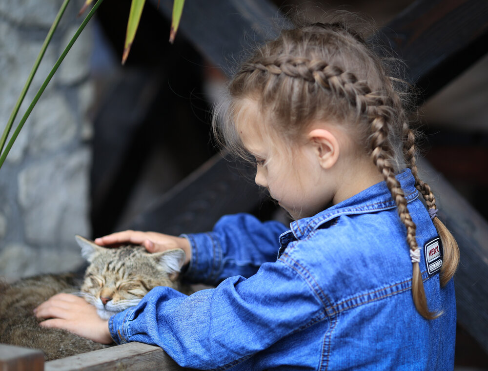 Photograph by Андрей Котенко