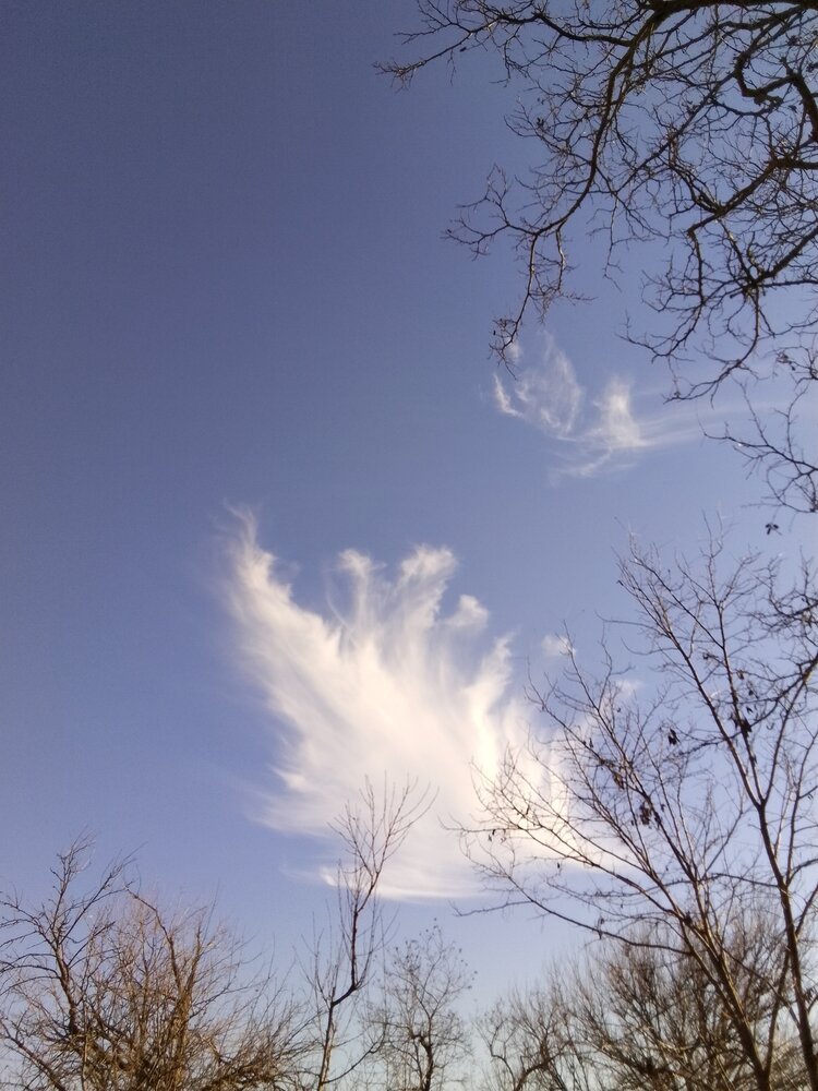 Photograph by Ксения Звонникова