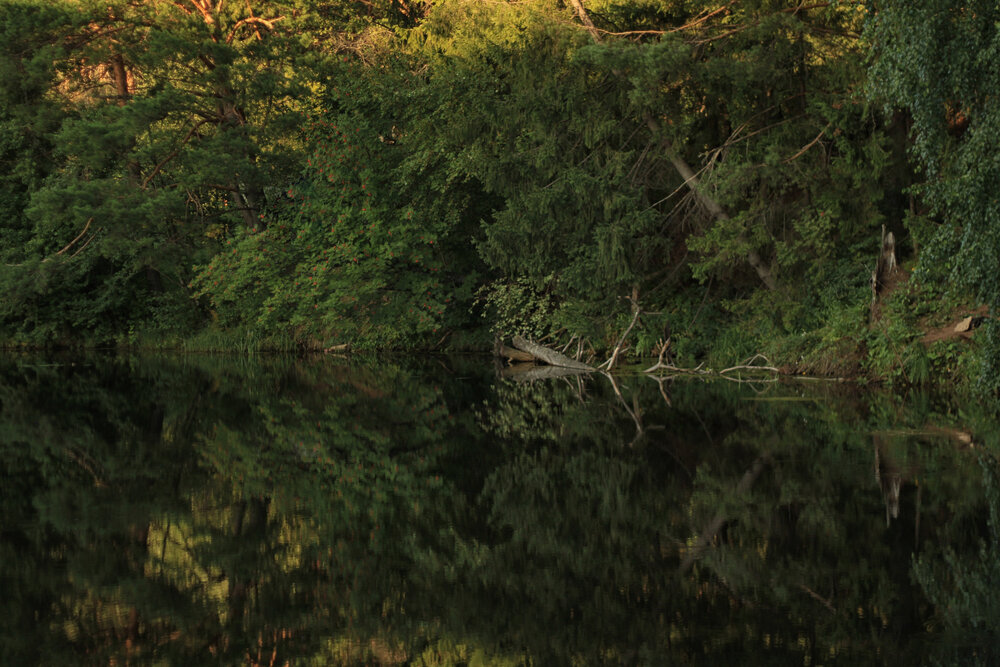 Photograph by Жереченко Юлия