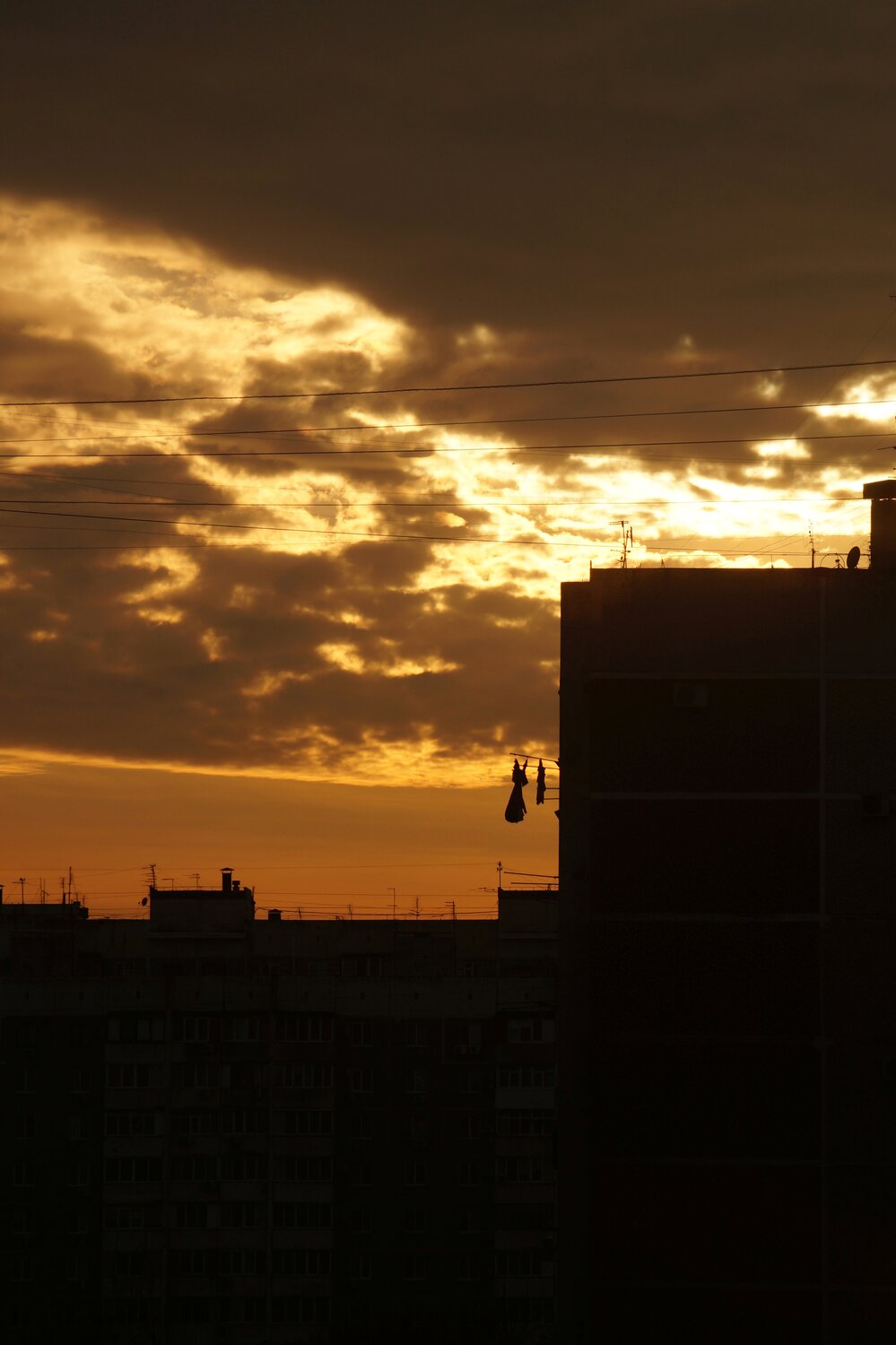 Photo #13779594