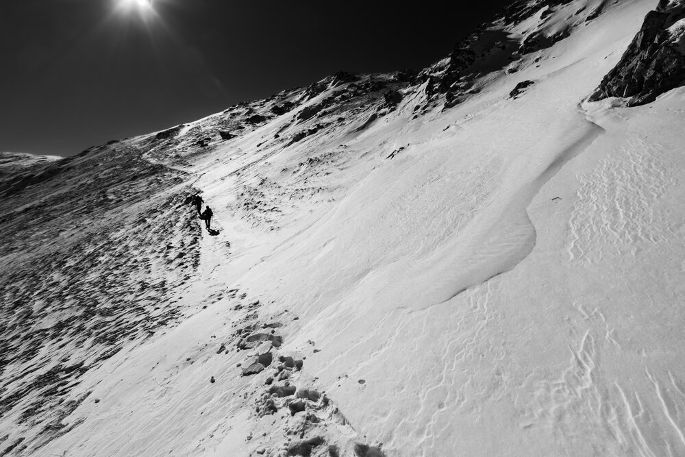 Photo #13779600