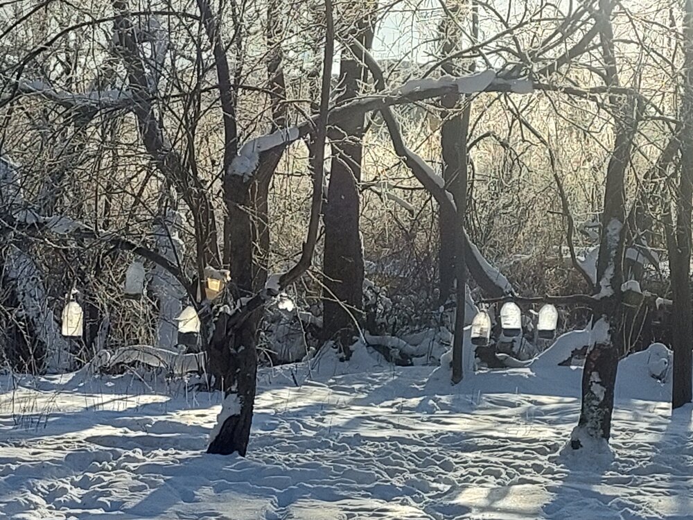 Photograph by Павел Алексеев