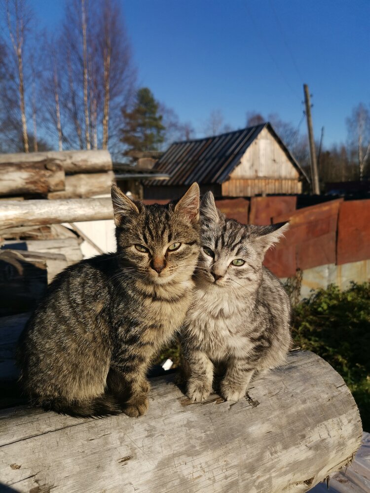 Photograph by Яна Слепнёва