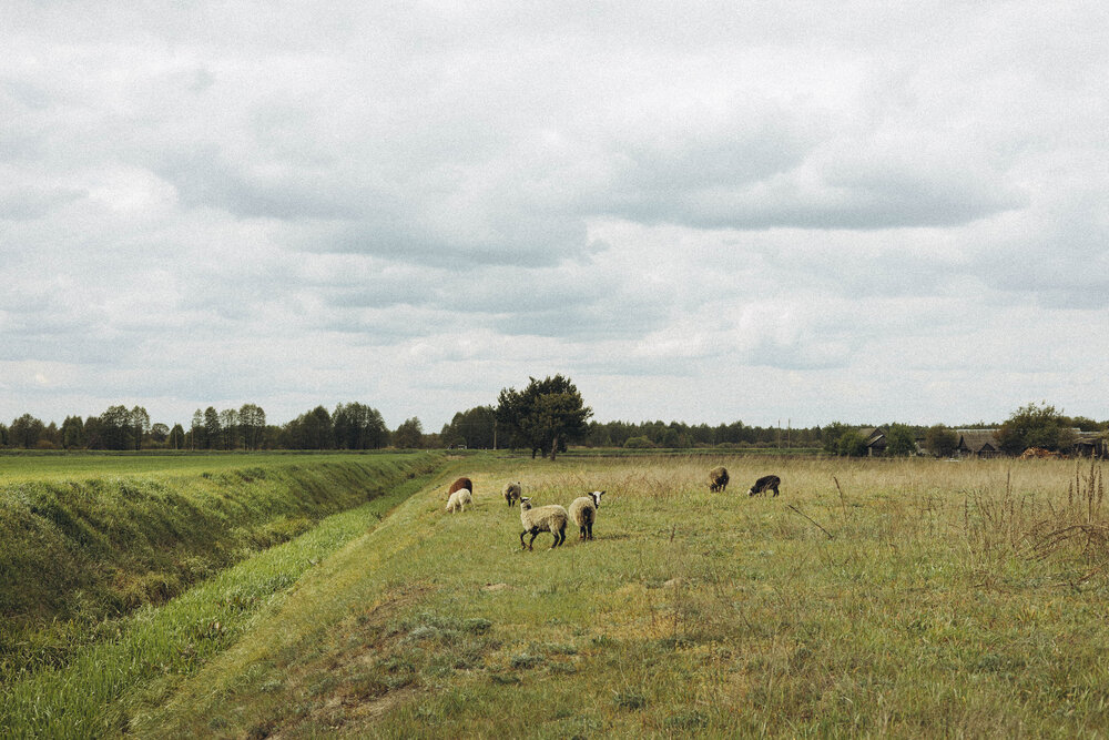 Photograph by Светлана Малькевич