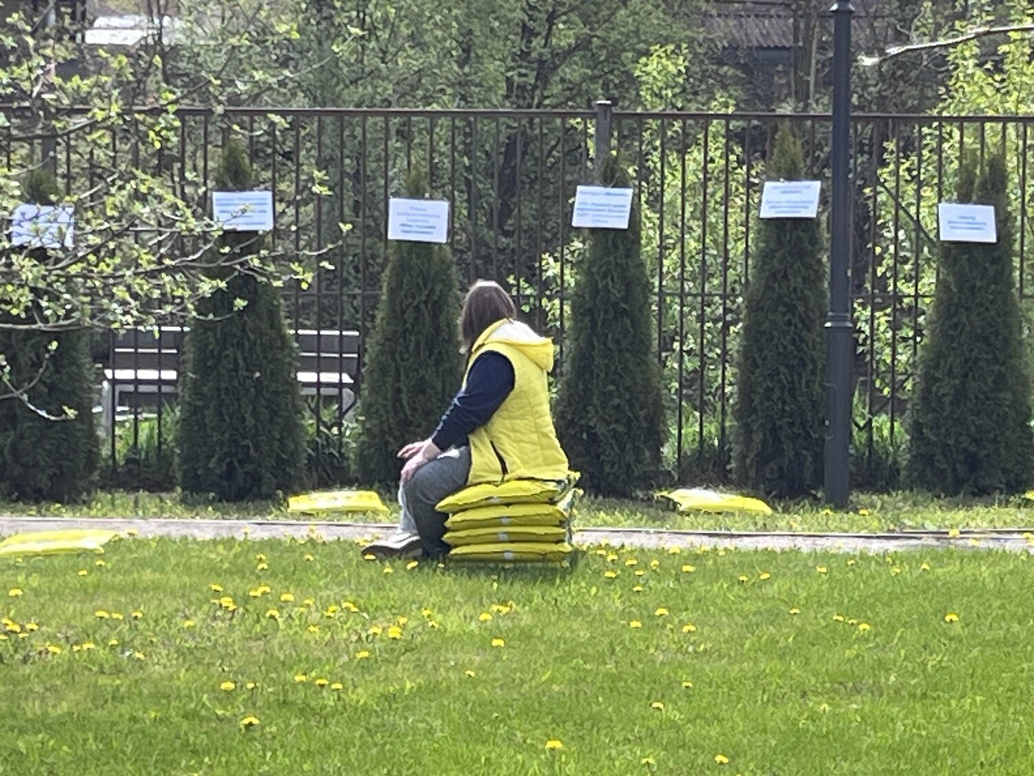 Озеленительница в желтом