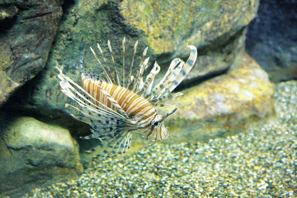 Photograph by Марина Юрченко