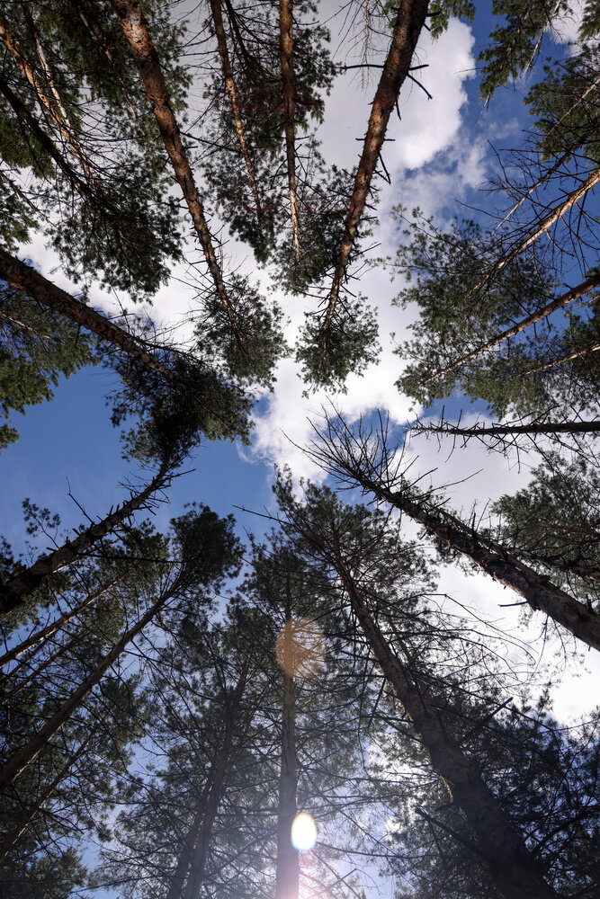 Photograph by Ольга Солодова