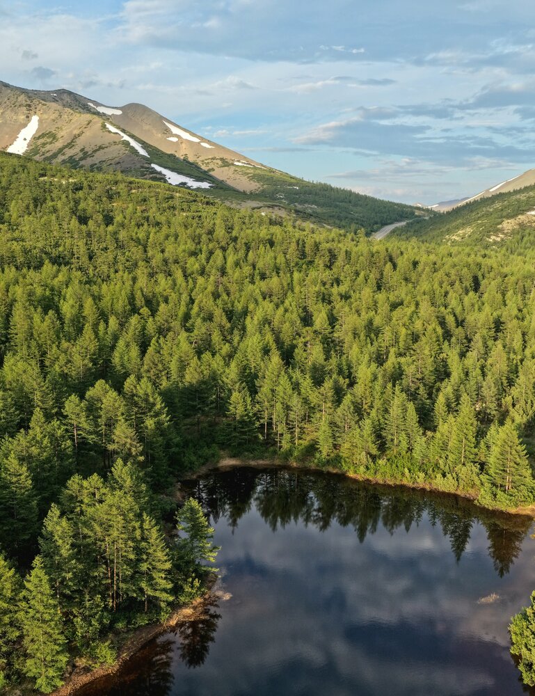 Photograph by Лариса Ким