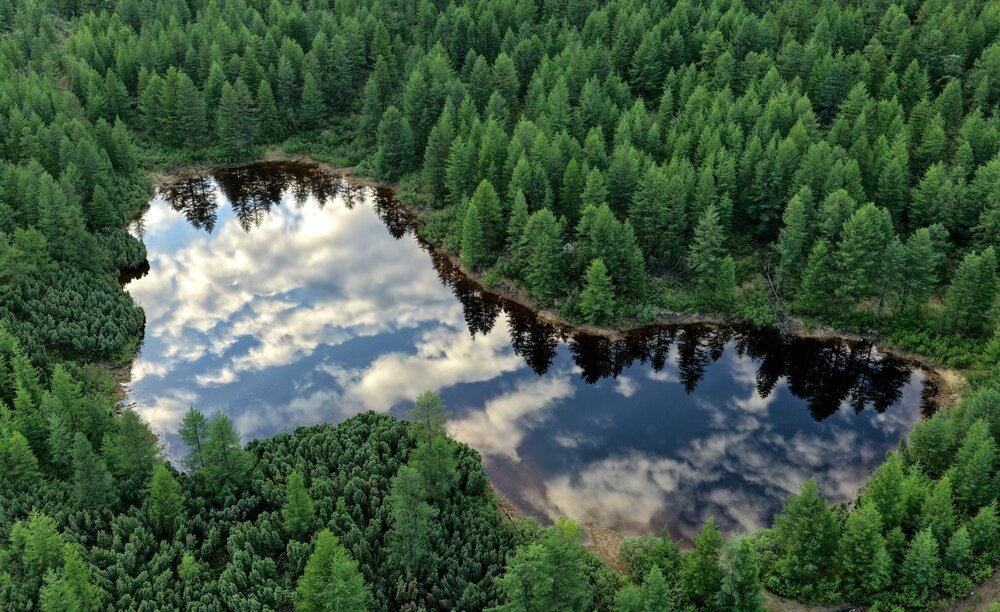 Photograph by Лариса Ким