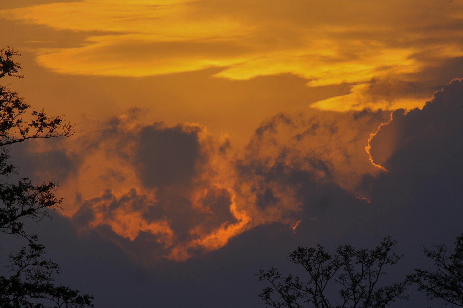 Photo #13779796