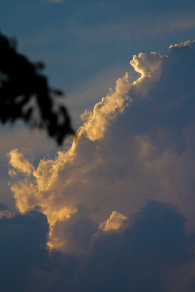Photograph by Saurabh Bhandari