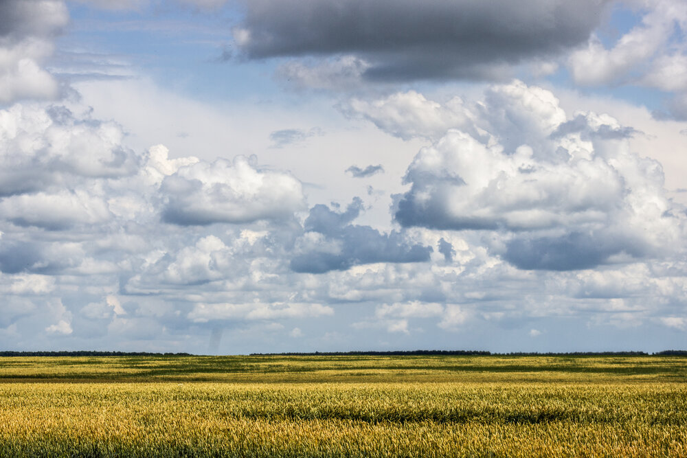 Photograph by Юлия Сысоева