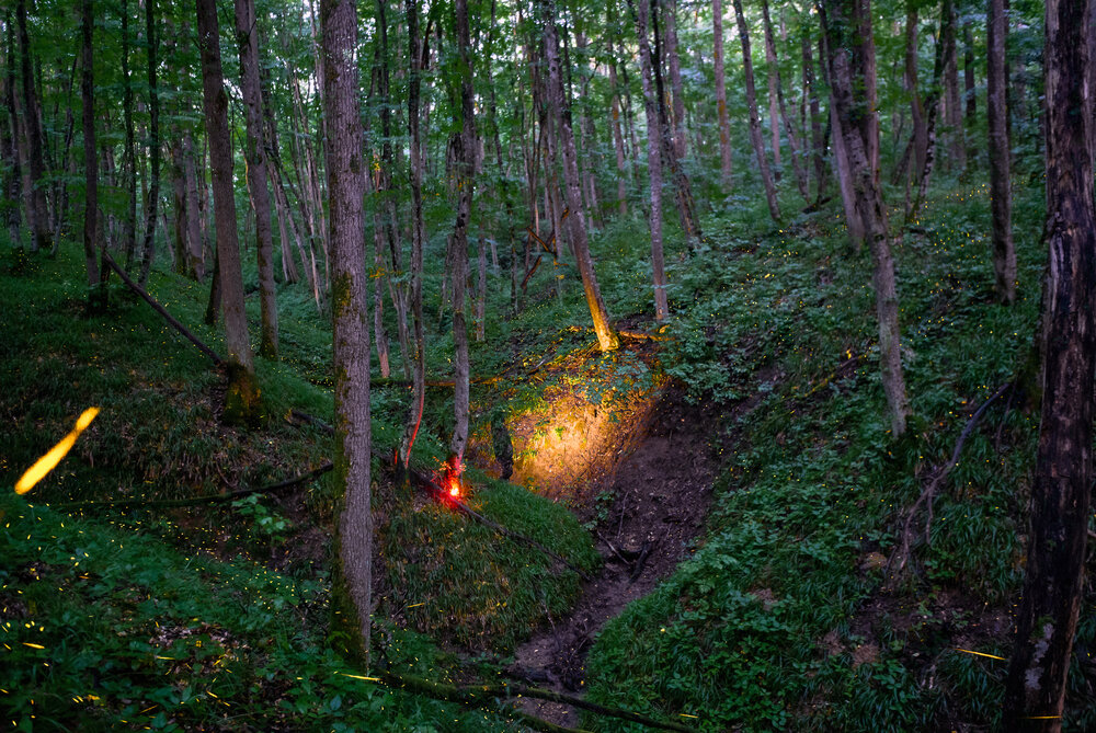 Photograph by Aндрей Иванов