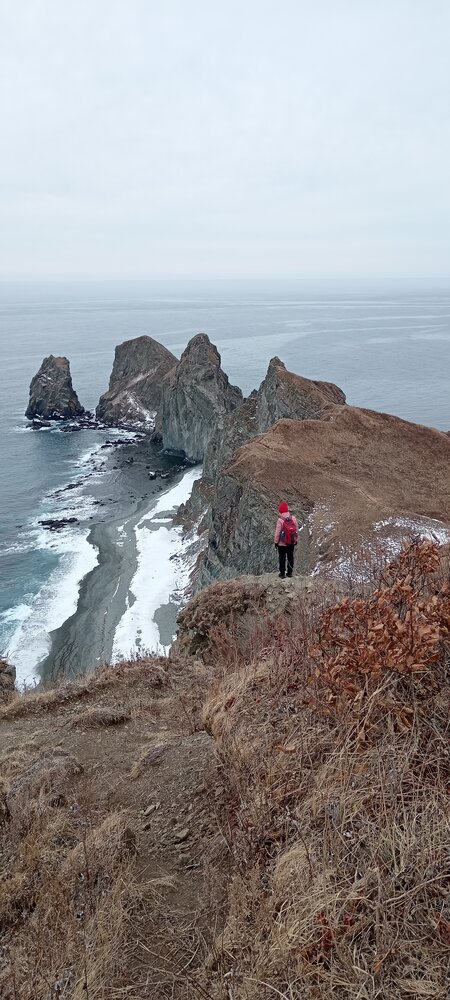 Photo #13780042