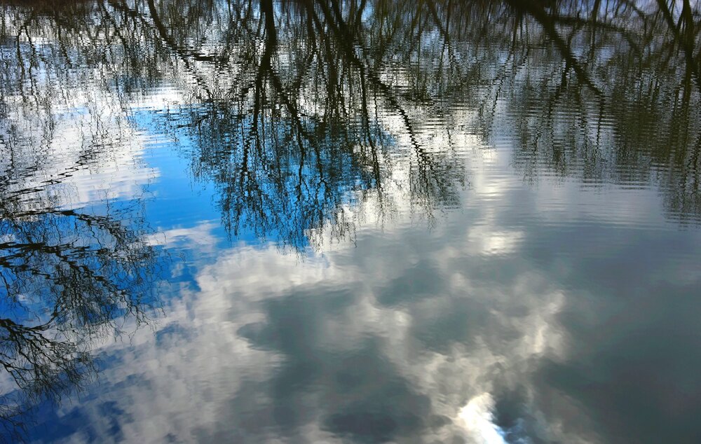 Photograph by Дарья Боева