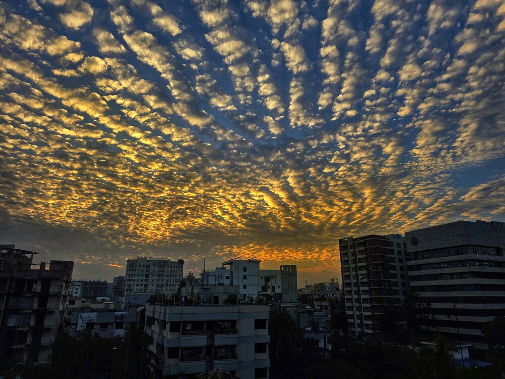 Photograph by Moon Moon Hossain