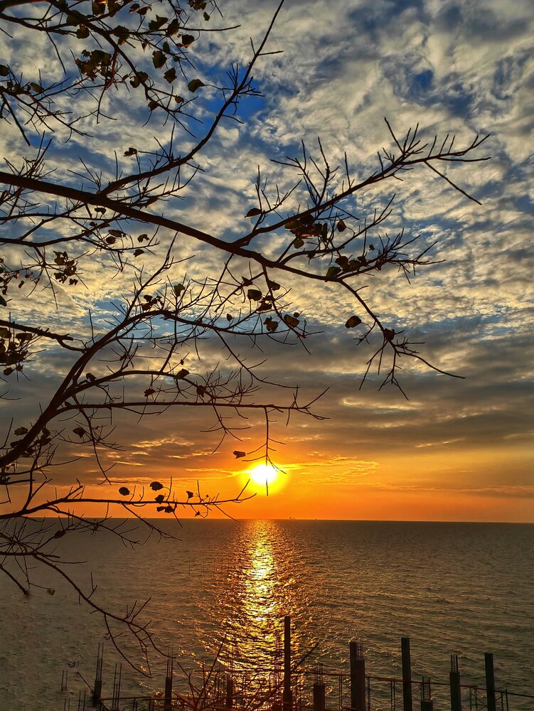 Photograph by Moon Moon Hossain
