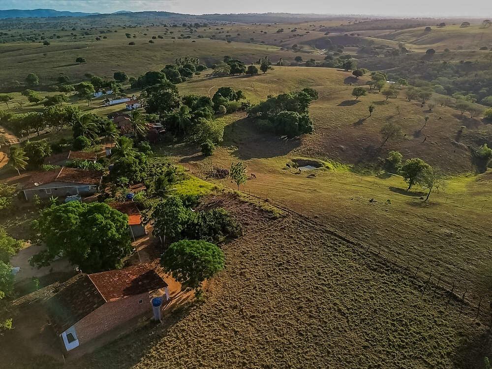 Photograph by Silvio José