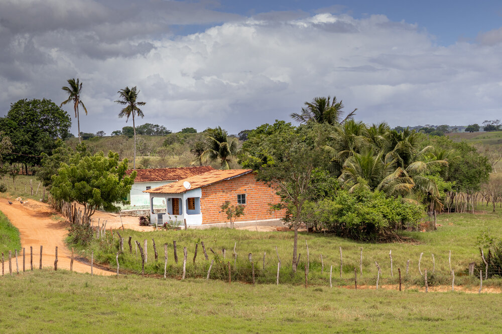 Photograph by Silvio José