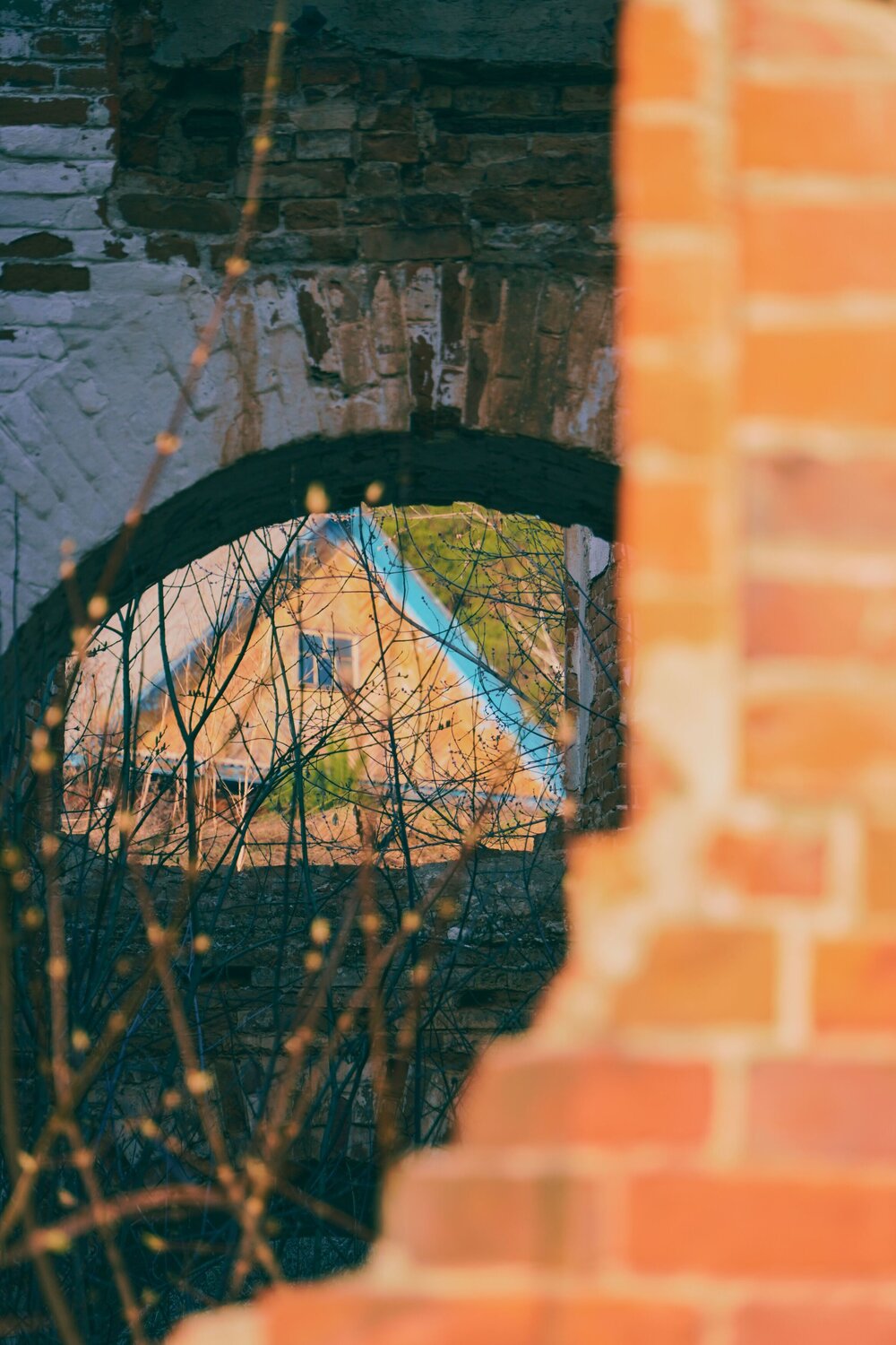 Photo #13780226