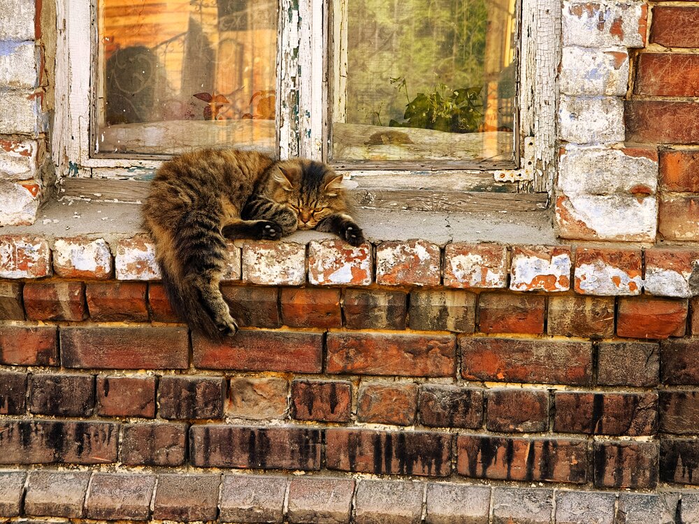 Photograph by Сергей Носов