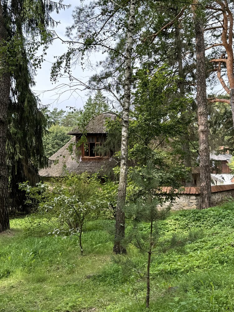 Фотография автора Ольга Фёдорова