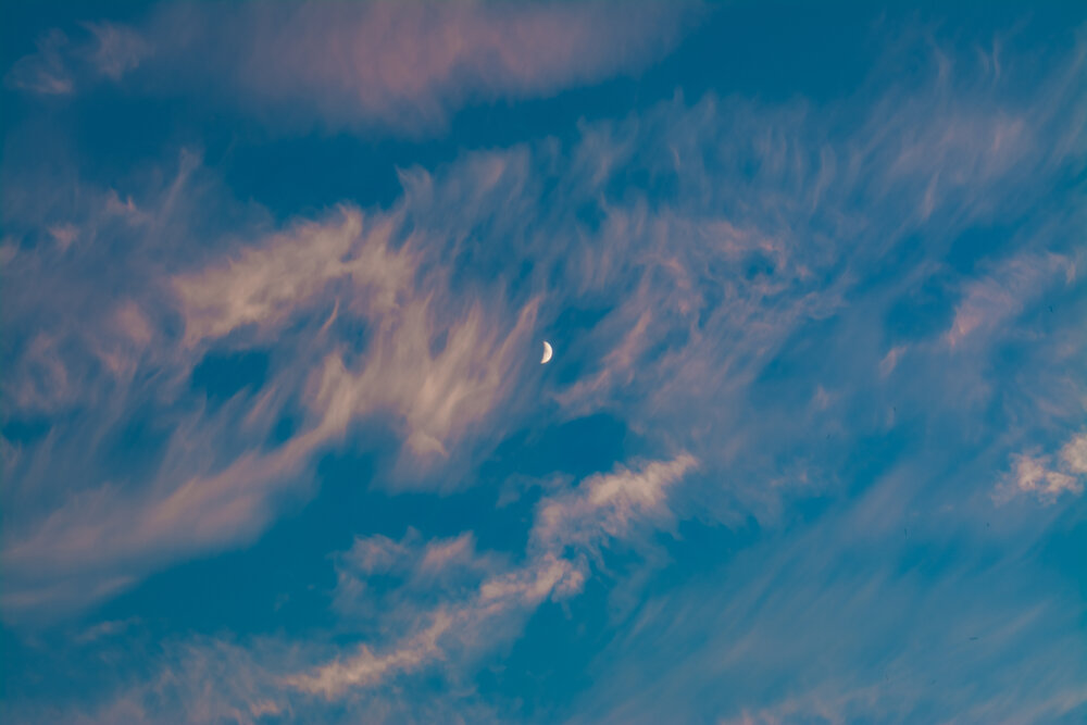 Фотография автора Жанна Шорина
