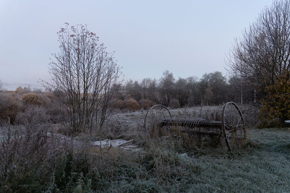 Photograph by Юля Александрова