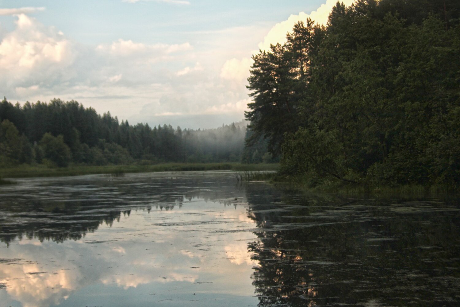 Photo #13780397