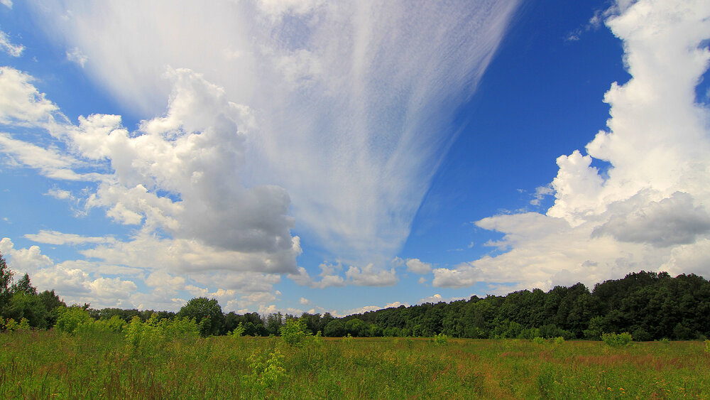 Photograph by Михаил Крюков