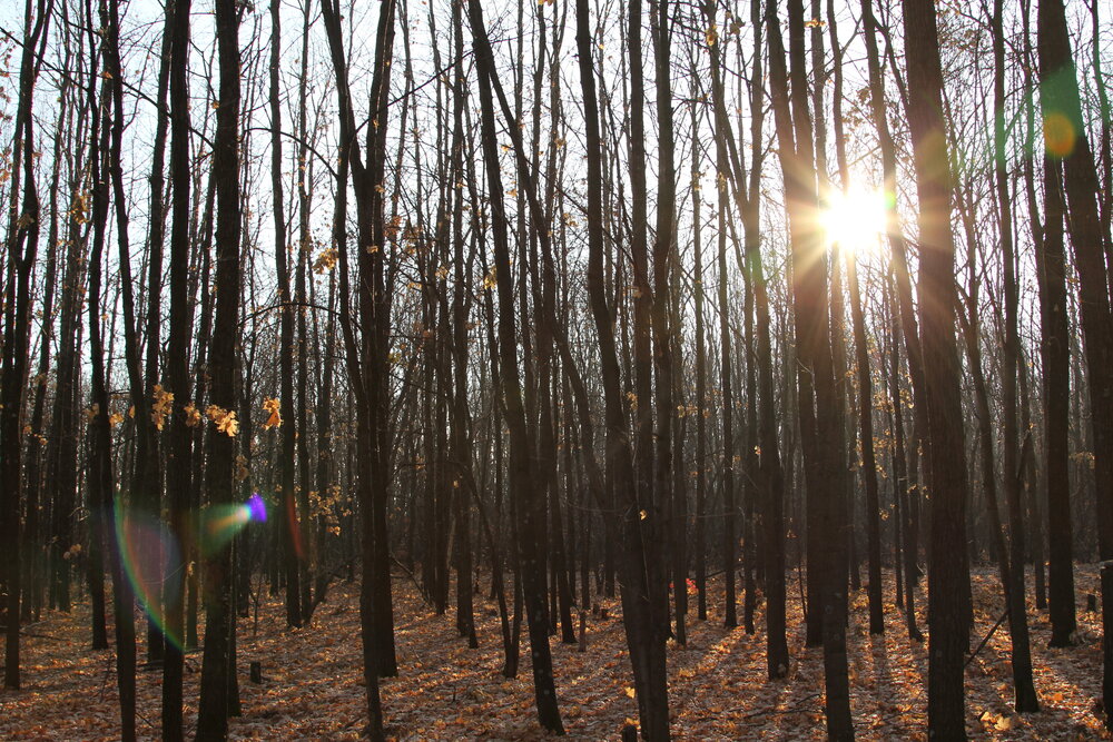Photograph by Вячеслав Залитко