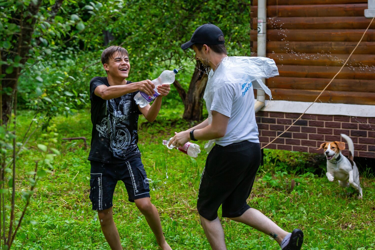 Photo #13780452