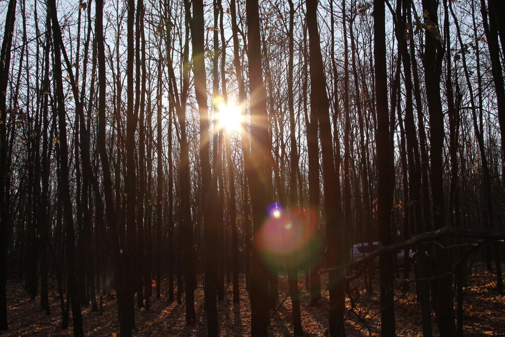 Photograph by Вячеслав Залитко