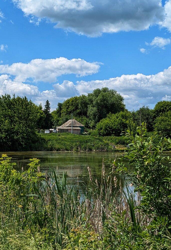 Photograph by Любовь Колмакова