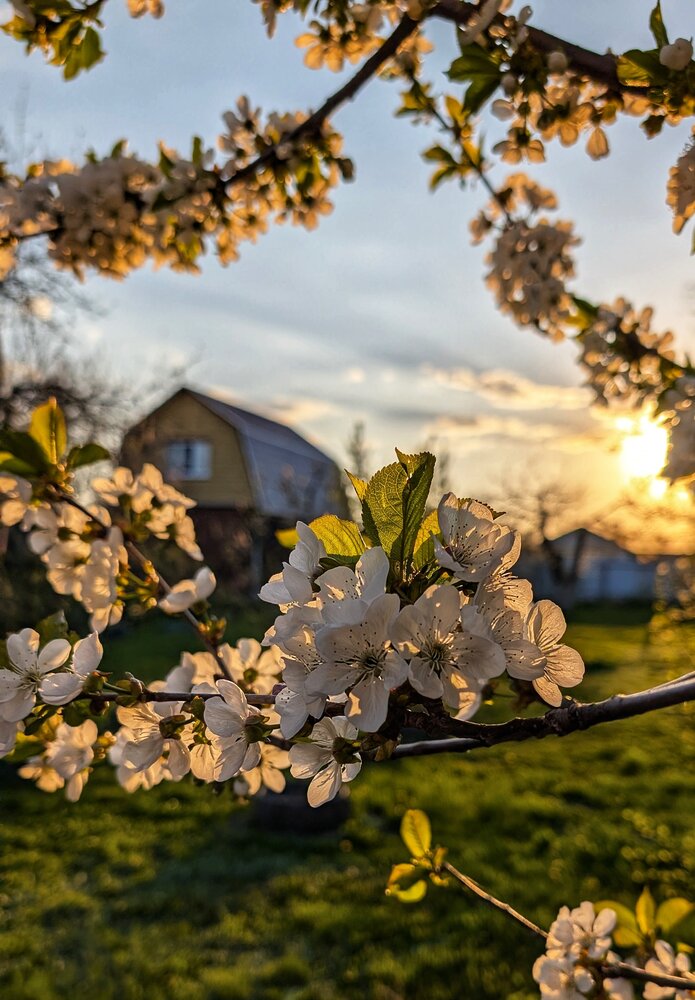Photograph by Любовь Колмакова