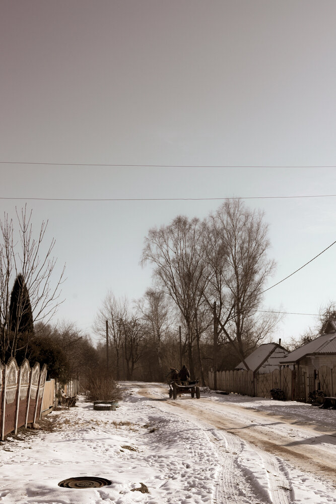 Photograph by Руслана Ковалевская