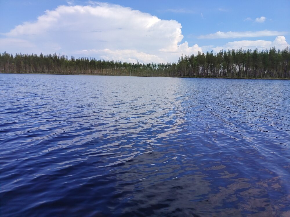 Photo #13780560