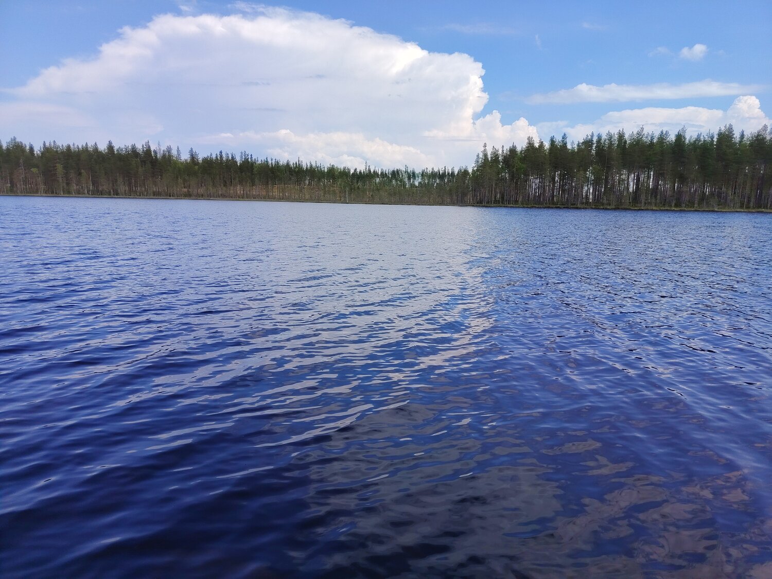 Photo #13780560
