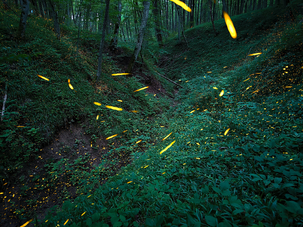 Photograph by Aндрей Иванов