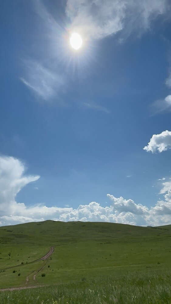Photograph by Диана Бутынцева