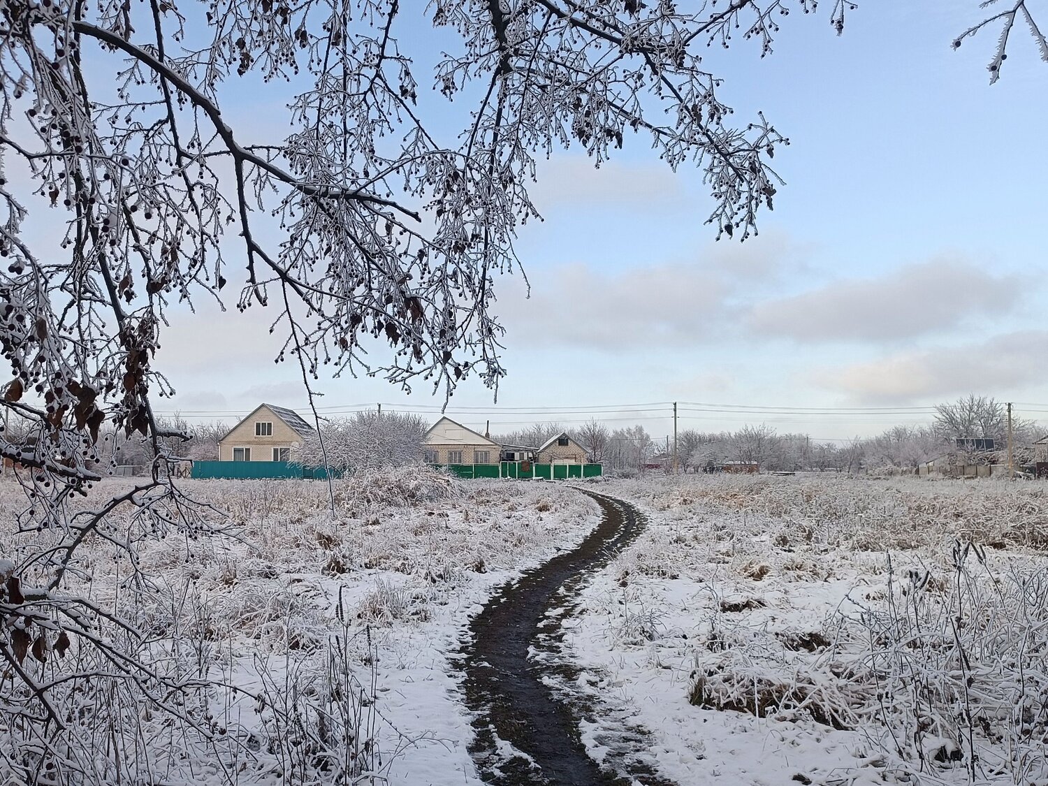 Photo #13780610