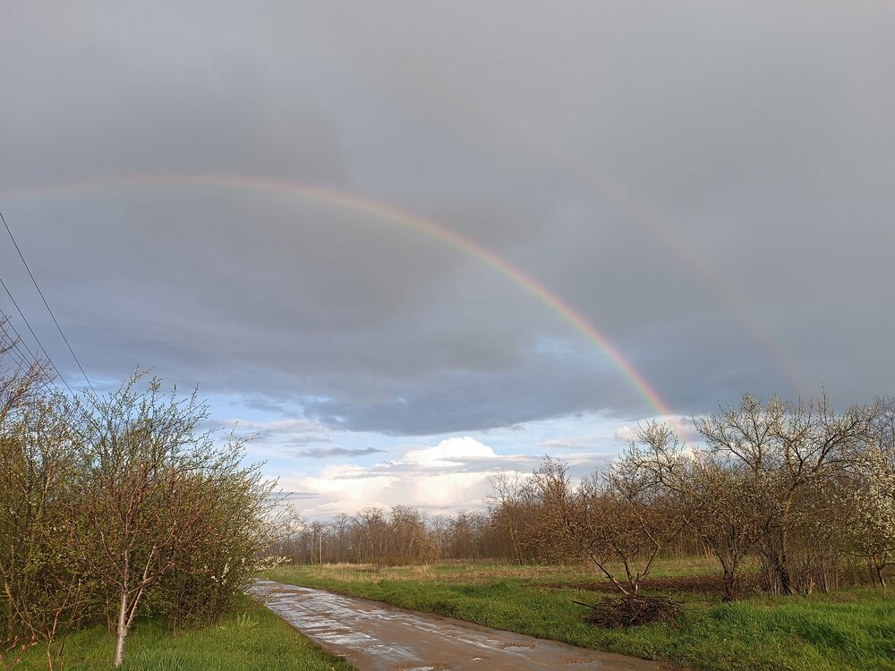 Photograph by Дарья Зотова