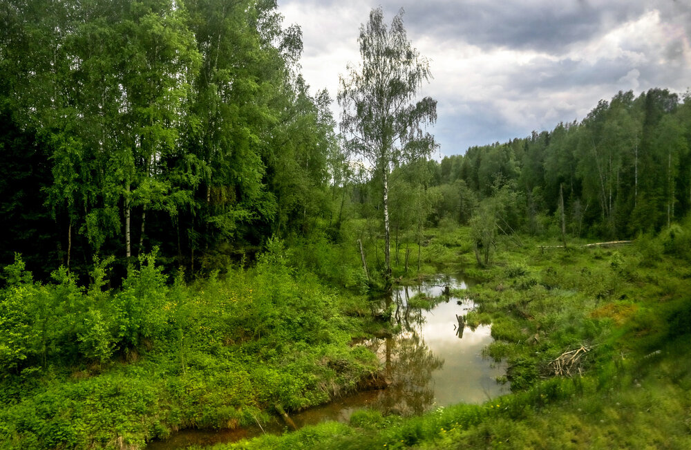 Фотография автора Климов Дмитрий
