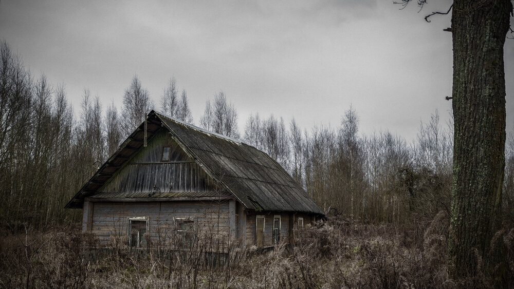 Photograph by Alexandr Gorelenkov