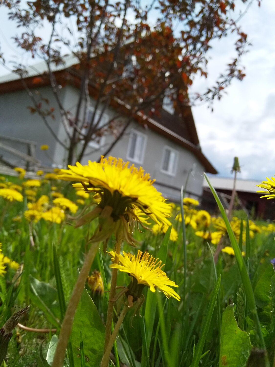 Photo #13780642