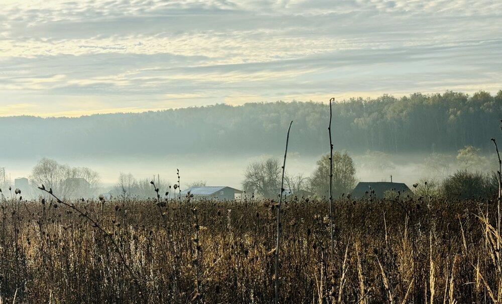 Photograph by Марина Сальникова