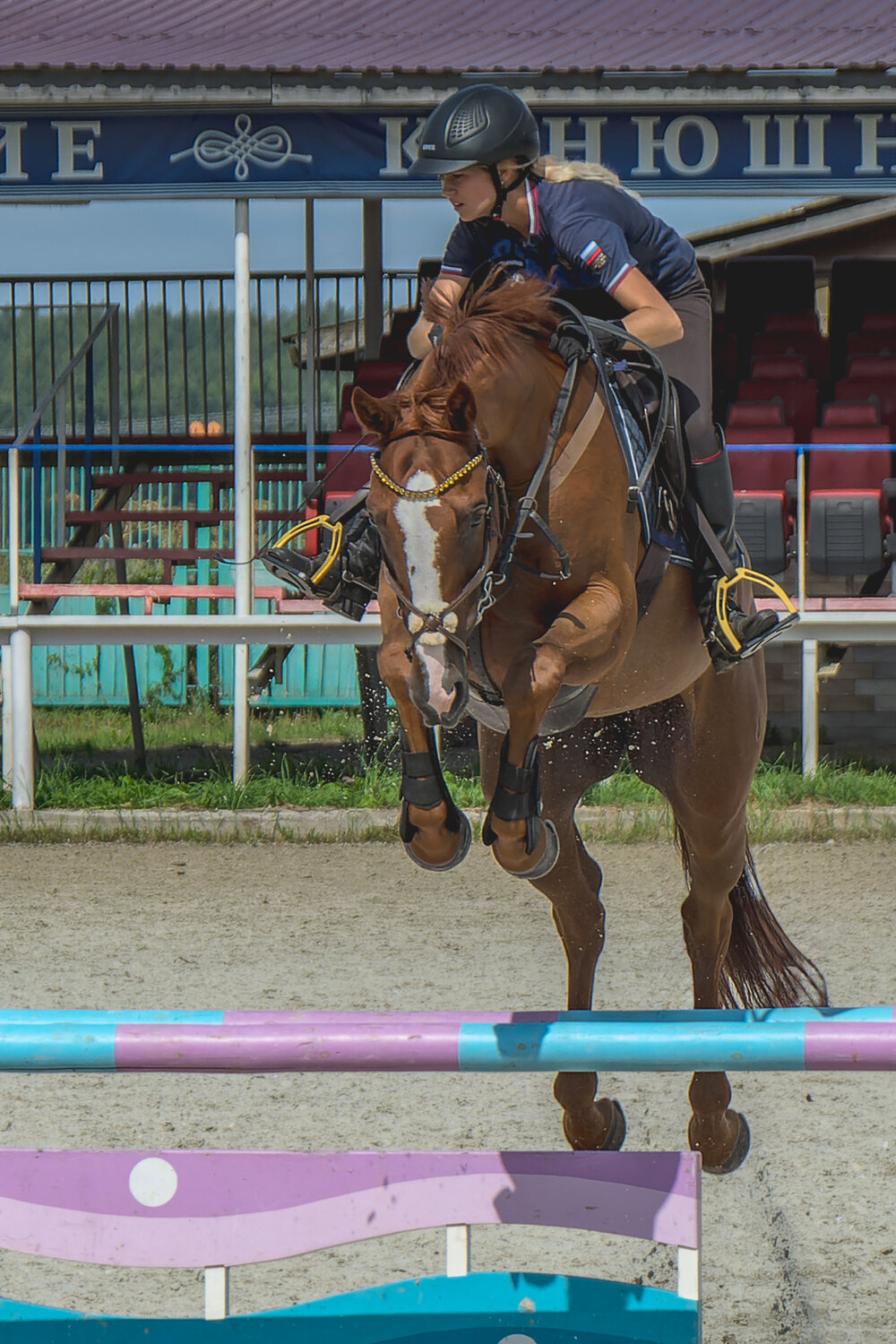Photo #13780676