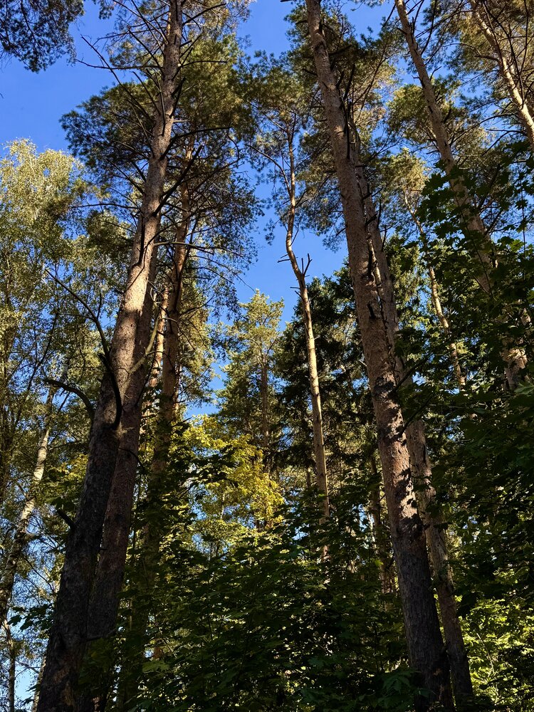 Photograph by Марина Сальникова