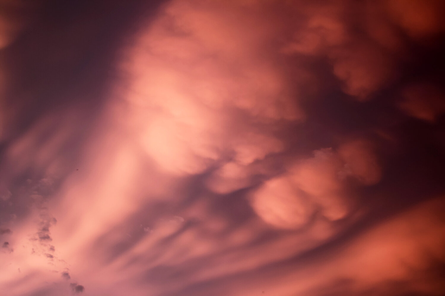 Photo #13780729