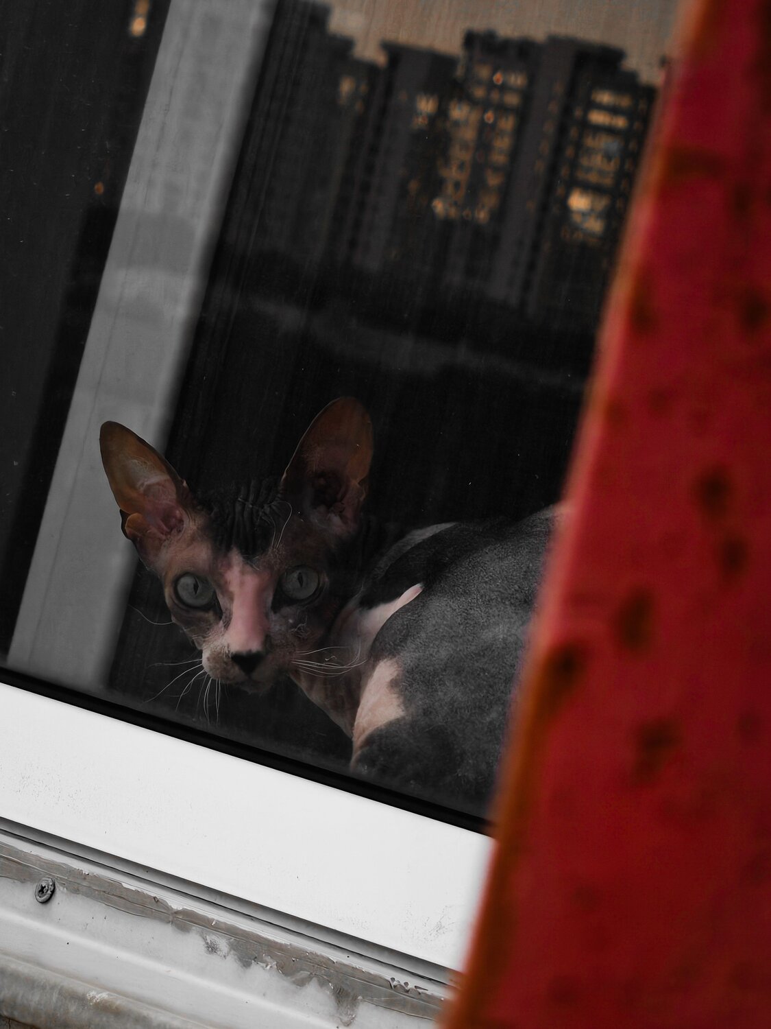 Photo #13780752